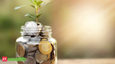 Mutual fund investing: What is total expense ratio? - The Economic Times