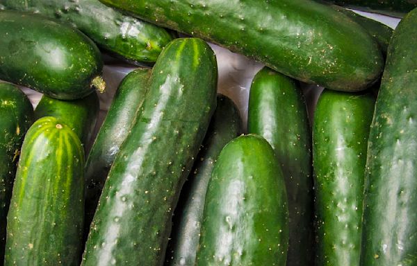Salmonella outbreak tied to cucumbers sickens 162