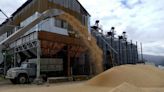 Ukraine grain exports sputter after extension deal with Russia