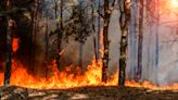 Wildfire Threats Make Utilities Uninsurable in U.S. West