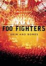 Foo Fighters: Skin and Bones