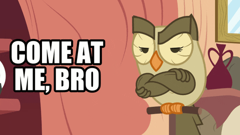 my little pony come at me bro friendship is magic animated GIF