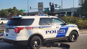 SEE: Gator spotted in roadway near SR 408 entry ramp in Orlando