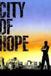 City of Hope (1991 film)