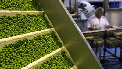 Russia overtakes Canada as top peas exporter to China