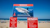 Deadly shark attacks double with ‘disproportionate’ number in one country