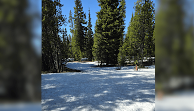 ‘Significant’ snowpack delays camp openings in Deschutes National Forest