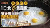 雞蛋營養｜研究：日吃多少蛋增好膽固醇減壞膽固醇？勿用雪櫃蛋架