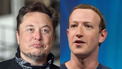 Elon Musk Takes on Mark Zuckerberg-Led Meta's Data Security Practices: 'WhatsApp Exports Your User Data Every Night...