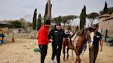 Therapy horses help neurology patients regain confidence, motor skills