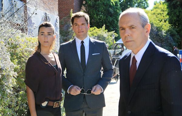 'NCIS' Fans Rejoice Over Michael Weatherly and Cote de Pablo's Surprise News