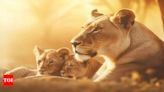 World Lion Day 2024 - Empowering Each Sign to Make a Difference | - Times of India