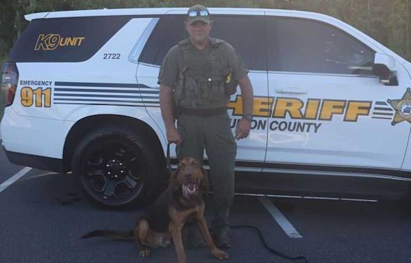 A boy was found wandering on a North Carolina road. A police dog helped reunite him with his family