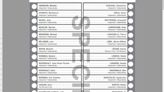 Record 84 candidates on a near metre-long ballot in upcoming byelection