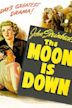 The Moon Is Down (film)