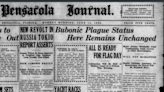 Is bubonic plague a problem today? It did appear in this Florida city. Here's what we know