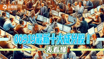 00919最新十大成分股出列！聯電、中信金居前2大 一表看懂