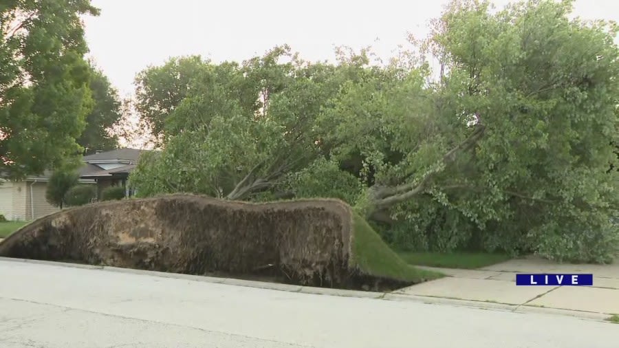 NWS confirms 11 tornadoes in Chicago area during Monday storms