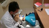 專訪／國際牙醫專業養成 台灣學生於波蘭完成牙醫學歷：挑戰、實踐與文化交流