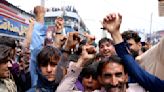 Afghans celebrate their men's cricket team reaching first Twenty20 World Cup semifinals