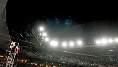 Dodgers-Diamondbacks game delayed more than an hour due to bee swarm