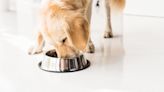 Dog food sold at Target, Walmart recalled due to potential salmonella contamination