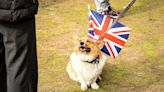 British Slang Might Not Be the Dog’s Bollocks Much Longer