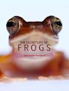 The Secret Life of Frogs