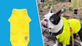 The 7 Best Dog Raincoats of 2024, According to Real Pet Parents