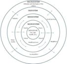 Ecological systems theory