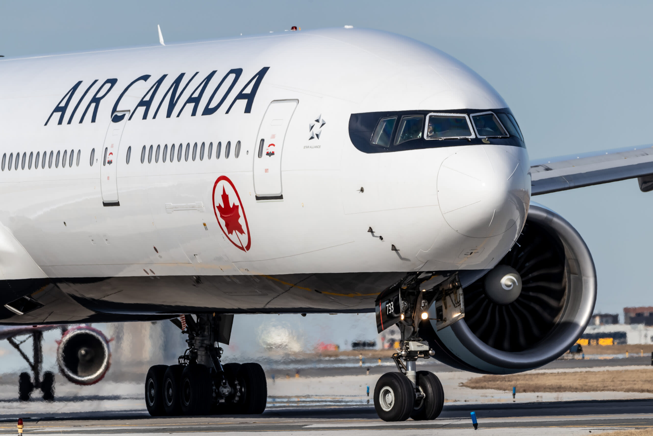 Air Canada flight attendant loses her cool: "Everyone, behave!" (video)