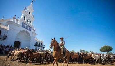 La tradicional Saca de las Yeguas lleva a más de 1.500 equinos a su paso por El Rocío