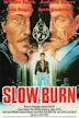 Slow Burn (1989 film)