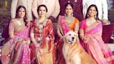 'Happy', el perro de la familia Ambani que se robó las miradas en la boda de Anant y Radhika Merchant