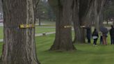 Community hangs ribbons in remembrance of workers who died or were injured while working