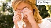 Hay fever sufferers brace for ‘worst day of the year’