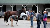 While disappointing, keeping Forte out of the Preakness is the right thing to do