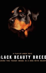 Black Beauty Breed