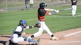 Split decision for Holly, Fenton baseball teams