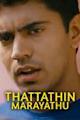 Thattathin Marayathu