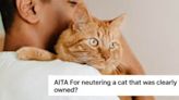 Man's Neighbors Go 'Ballistic' After He Neutered Their Pet Cat Without Their Permission — 'If He's Going To Be Outside, He...