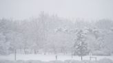 South Korea's capital records heaviest single-day snowfall in December for 40 years