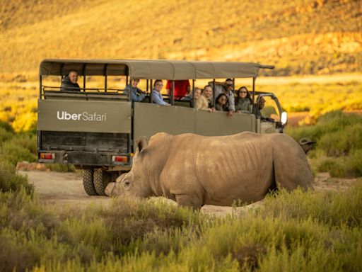 Uber launches $200 safari experiences in South Africa – here’s how you can book