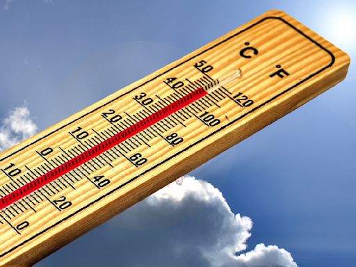 Calor sin precedentes asola California: ¿Cómo puedes protegerte de las altas temperaturas?