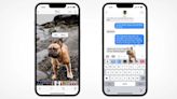 Daily Crunch: All I can see is you — iOS 16 users enjoy new photo background removal feature