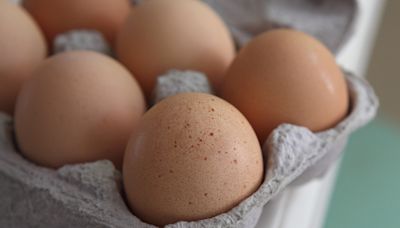 Eggs recalled as health warning issued