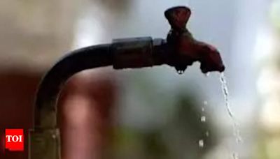 Mahadevapura Water Crisis: Tanker Owners and Villagers Clash Over Groundwater Depletion | Bengaluru News - Times of India