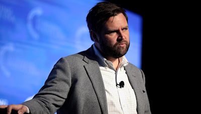 J.D. Vance Claims His 'Childless Cat Lady' Remarks Were 'Radically' Misinterpreted by Democrats: 'They Aggressively Lied' - EconoTimes