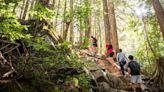 Get ready to conquer the Grouse Grind in Vancouver this summer | Curated