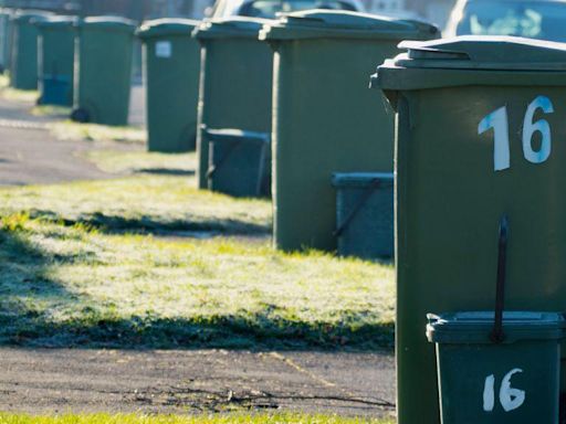 Could you be fined for putting the wrong things in your bin?